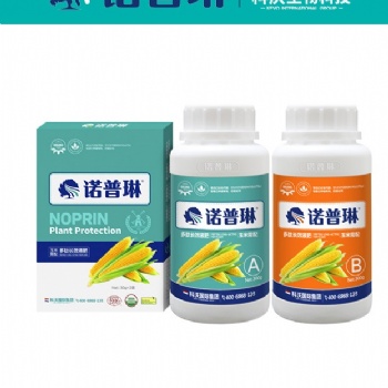 水果玉米烂根烂苗的原因--诺普琳帮您