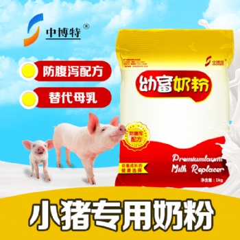 仔猪饲养管理与仔猪代乳粉的重要性