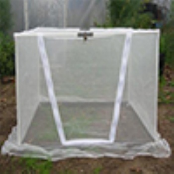 绿色蔬菜种植防虫网定制网片覆盖网棚密度好40-60目