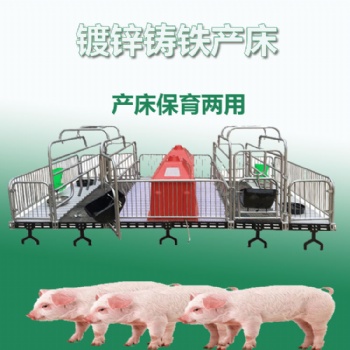 母猪产床厂家小猪保育床