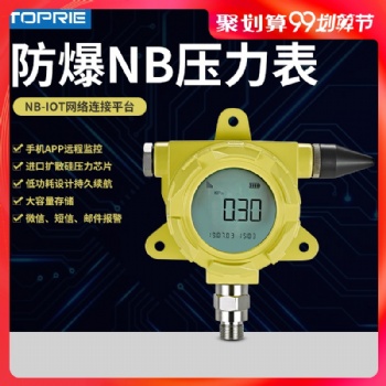 拓普瑞高精度NB-IOT无线温度表TP2402V1.0-EX低功耗防爆温度表