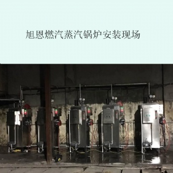 广东橡胶生产用蒸汽发生器配套硫化机