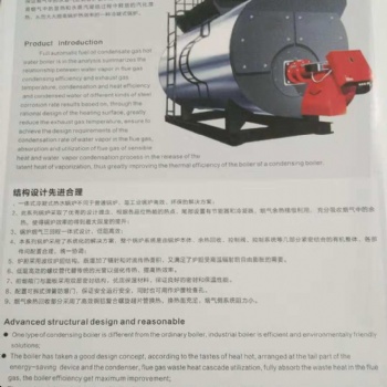 银晨集团 百阳丰锅炉循环流化床锅炉煤质要求品质厂家