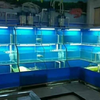 广州越秀菜市场海鲜池订做 越秀生猛海鲜鱼缸定做安装