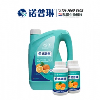 诺普琳分享黄金柑预防大小年**的方案