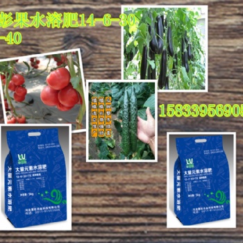 水溶肥冲施肥 惠旺水溶肥品牌 大量元素水溶肥生产