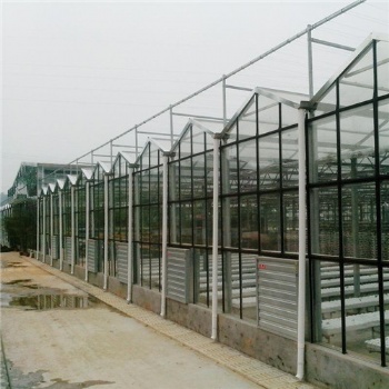 承接西藏林芝玻璃智能温室大棚节能日光温室大棚自动化育苗温室大棚