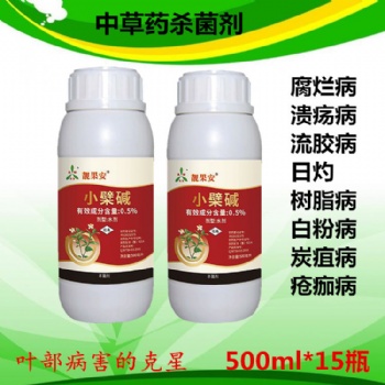 如何防治番茄灰叶斑病 有机农药靓果安水剂批发