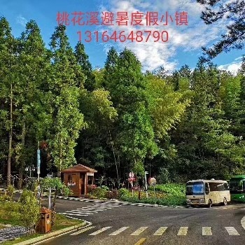 桃花溪避暑度假小镇。距离武汉**近的避暑度假小镇。夏天22℃的精装避暑房。