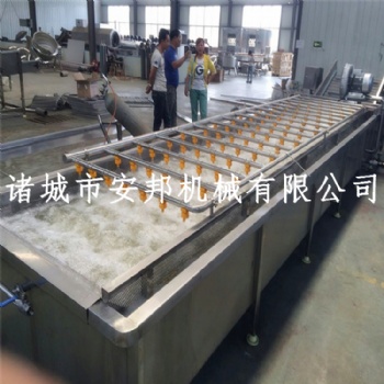 吉林山野菜清洗加工设备生产线 安邦机械