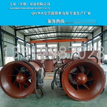 全贯流泵结构图天津上泵泵业