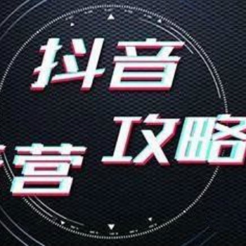 抖音运营分公司招商-抖音代运营/抖音培训/网红孵化