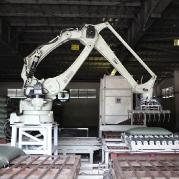 中山川崎化肥搬运机器人生产线-机器人包装输送线