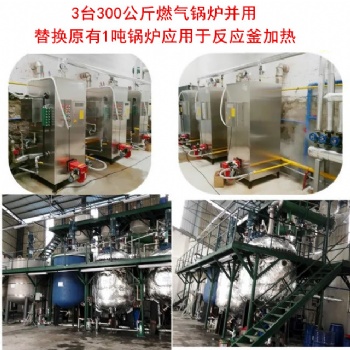 广州宇益锅炉化工反应釜加热配套300公斤燃油燃气蒸汽发生器