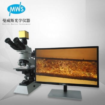 供应MWS-JXP5002金相显微镜 粉末芯片镀层研究级别显微镜