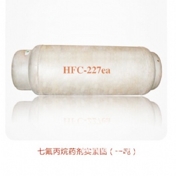 湖北省七氟丙烷超细干粉灭火装置鼎亚厂家