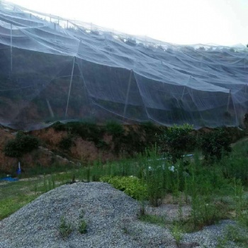 预防黄龙病 抗腐蚀 防晒 脐橙防虫网