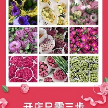 鲜花超市-鲜切花直供店,+app支持,线上线下齐开花!