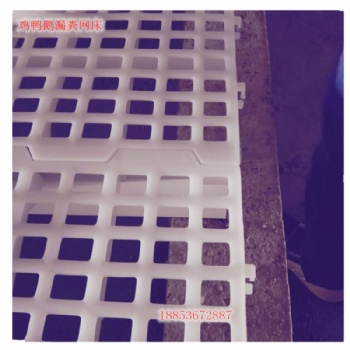 供应广东地区养鸡鸭鹅塑料漏粪网板 育雏网床 平养塑料漏粪板