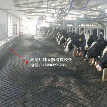 上海防滑垫，畜牧场所铺设防滑胶垫，马舍铺设防滑垫，广西牛栏垫