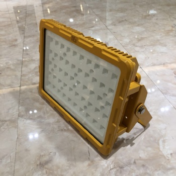 ZBFC817 LED防爆泛光灯