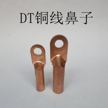 DT-95铜线鼻子 镀锡95平方线鼻子 堵油国标铜鼻子