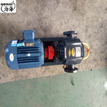 泊海WQCB12沥青泵 皂液泵 不绣钢保温泵
