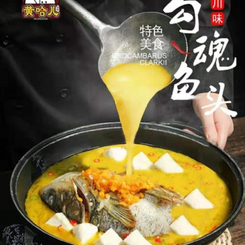 黄哈儿新品勾魂鱼头酱料火爆上市