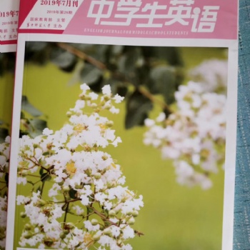 2020《中学生英语》杂志征稿/先发表后收费