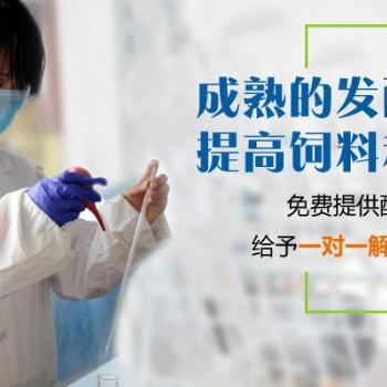 构树发酵的方法和技巧