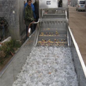 厂家生产苹果气泡清洗机 俞洋机械