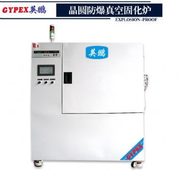 GYPEX晶圆防爆真空固化炉