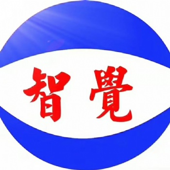 智觉CCD检测仪 模具保护器3