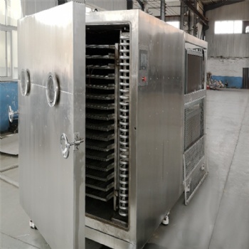 实验室用真空冻干机 小型真空冷冻干燥设备 厂家
