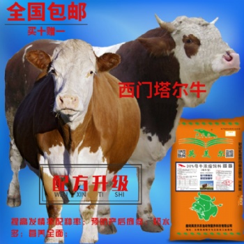 奶牛饲料_提高产奶年限_有效提高母牛健康_云南好用的牛饲料