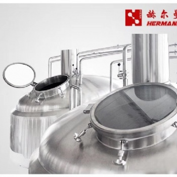 小型设备精酿设备