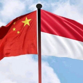 中国-印尼海运拼箱双清包税到门服务