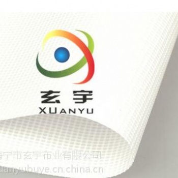 生产供应PVC带底膜喷绘网，白色网格布