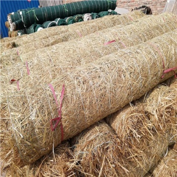 厂家椰丝毯 植物纤维毯植草毯植生毯 pp网加筋植被毯 护坡固土毯