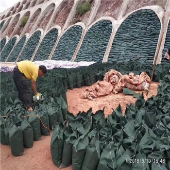 厂家绿化护坡防水土流失生态袋 绿色土工布袋 结实耐用生态袋