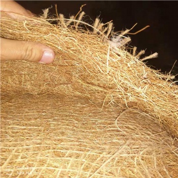 供应江西丰城 麻椰固土毯 环保生态麻椰固土毯 椰纤地毯 生态修复