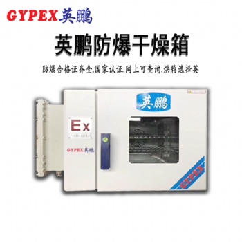 防爆恒温鼓风干燥箱-油墨厂