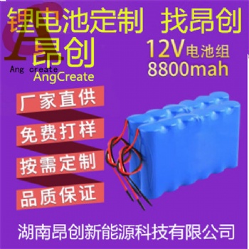 供应 通讯仪器锂电池 **机械锂电池12V-3**H