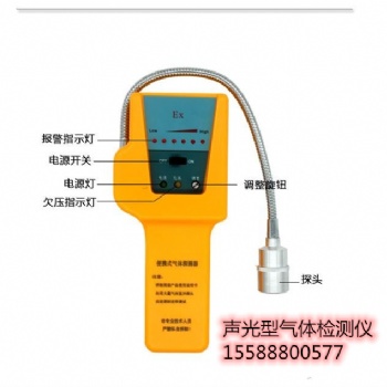 SQJ-IA便携式气体检测仪（声光型）
