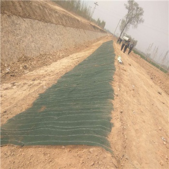 供应来宾地区 抗冲生物毯 环保植生绿化毯 营养土工布 生态修复绿化