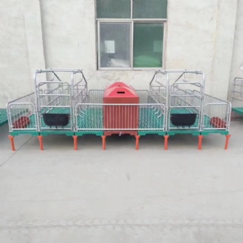 厂家母猪产床落地式，猪用复合板单双体分娩床保育床，两用定位栏养猪设备