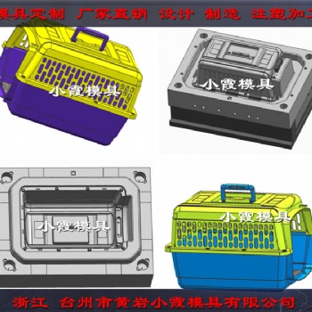 注塑大号宠物保温箱模具 ABS塑胶笼子模具