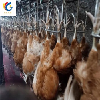 鸡鸭鹅屠宰流水线 家禽自动宰杀设备定制 蛋鸡屠宰生产线