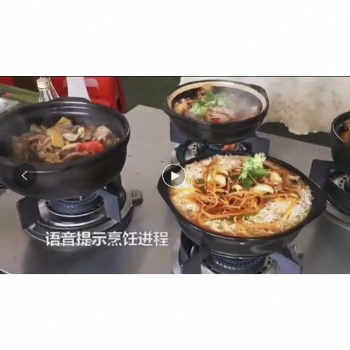 广州佛山膳达智能旋转煲仔饭炉批发厂家设备