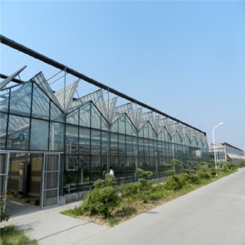 玻璃温室 温室大棚造价 连栋温室厂家